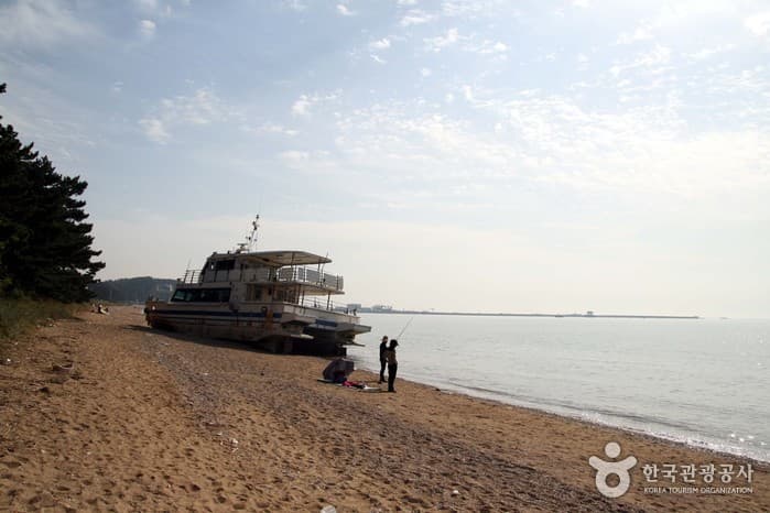 Gungpyeongni Beach (궁평리해수욕장)