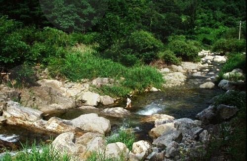 Geumdaegyegok Valley (금대계곡)