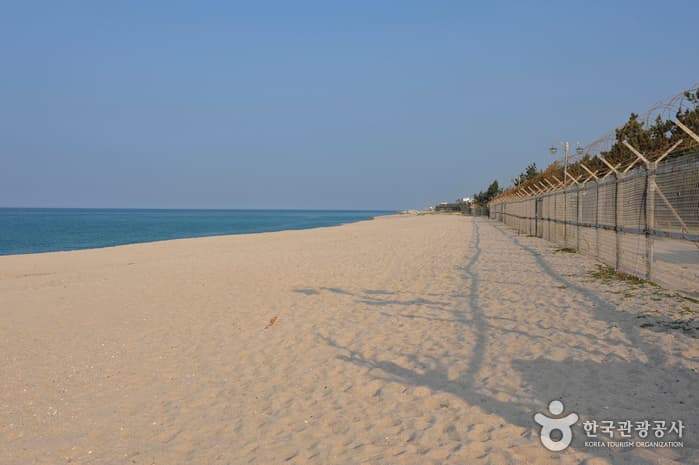 Yeongokhaebyeon Beach (Yeongok Beach) (연곡해변(연곡해수욕장))