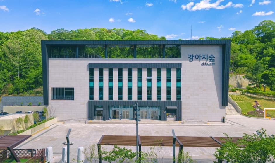 d.forest (강아지숲)
