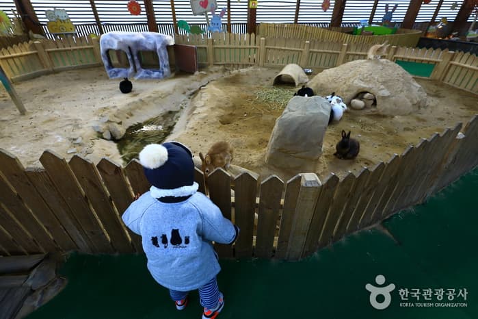 Santokki Park (산토끼 노래동산)