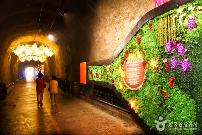 Muju Meoru Wine Cave (무주머루와인동굴)