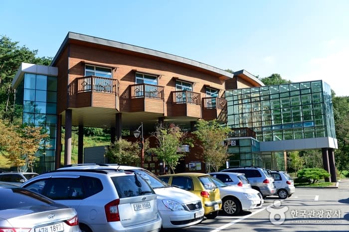 Yongin Recreational Forest (용인자연휴양림)