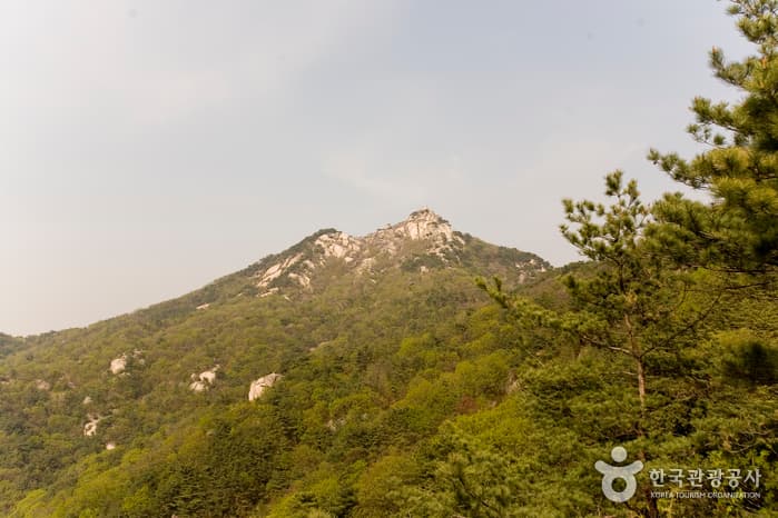 Buramsan Mountain (불암산)