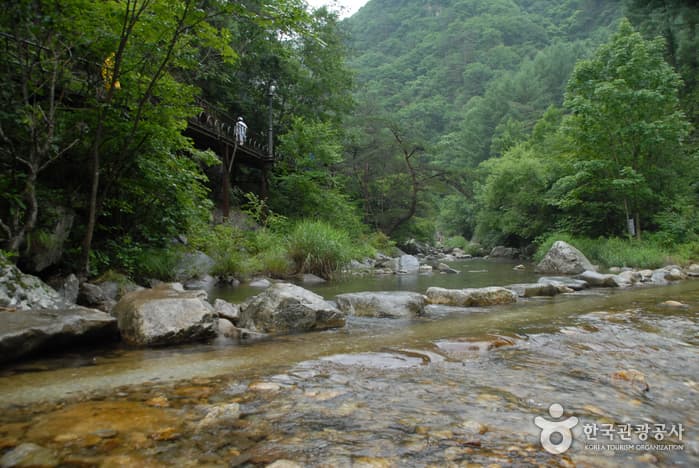 Namcheongyegok Valley (남천계곡)