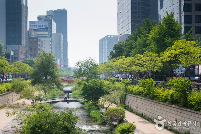 Cheonggyecheon Stream (청계천)