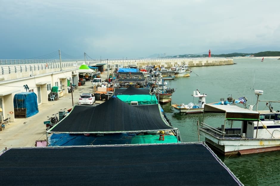Sacheonjin Port (사천진항)