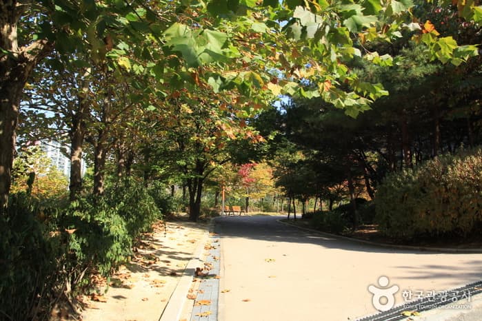 Yongmasan Mountain (용마산)