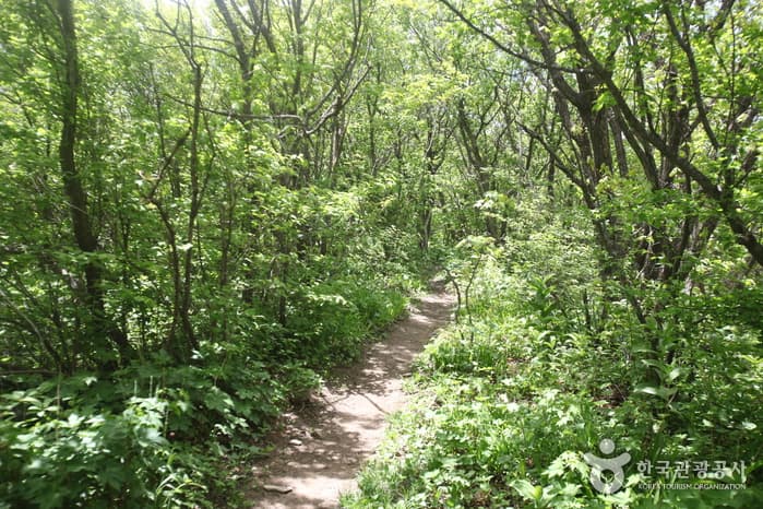 Odaesan National Park (오대산국립공원)