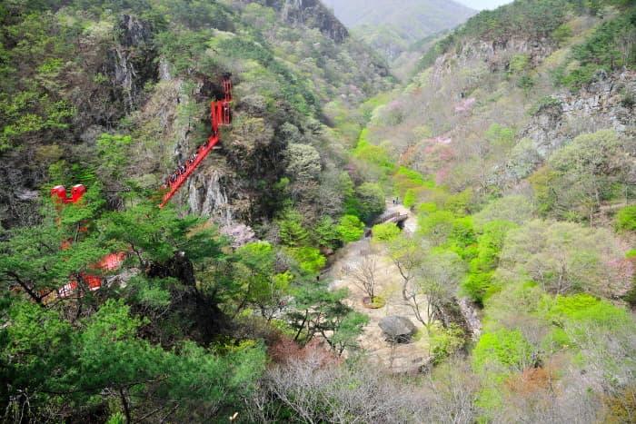 Gangcheonsan County Park (강천산 군립공원)