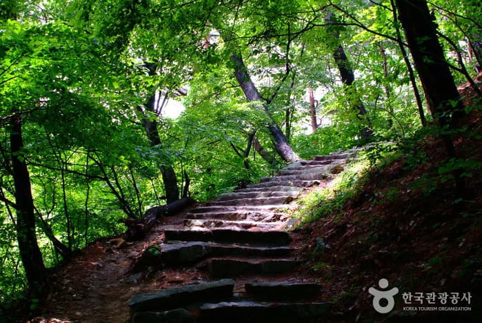 Seosan Gaesimsa Temple (개심사(서산))