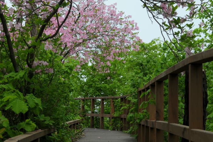Hoengseong National SoopCheWon (국립횡성숲체원)