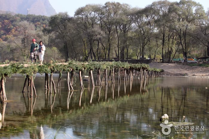 Yeongwol Seopdari Village (영월섶다리마을)