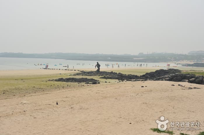 Hagosudong Beach (하고수동해변)