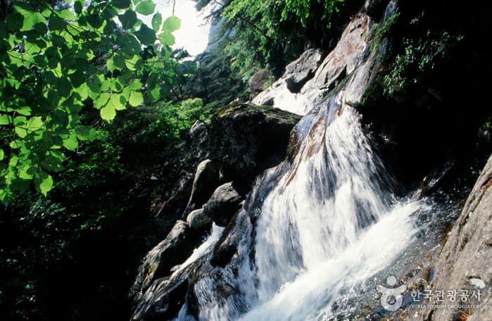 Chiryeongyegok Valley (칠연계곡)