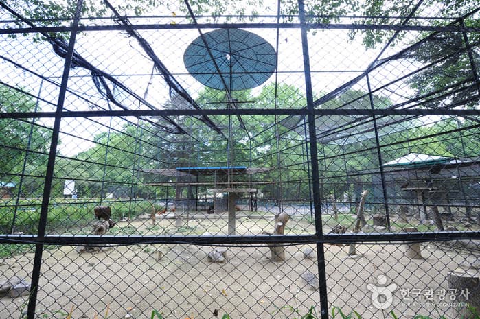 Jeonju Zoo (전주동물원)