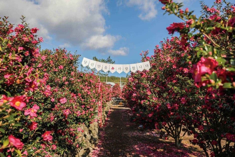 Hueree Natural Park (휴애리자연생활공원)