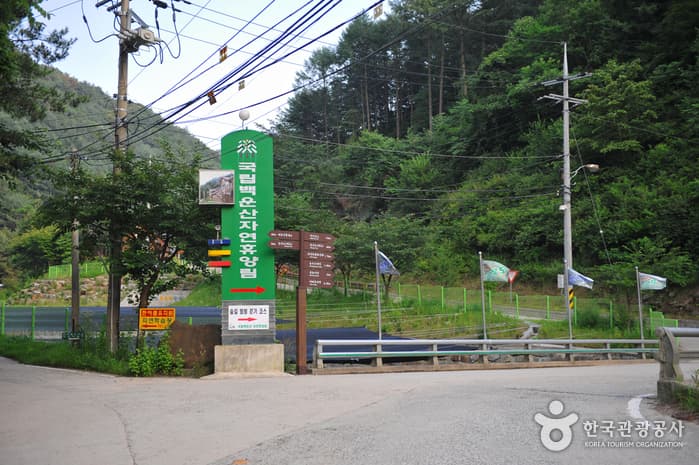Wonju Baegunsan National Recreational Forest (국립 백운산자연휴양림 (원주))