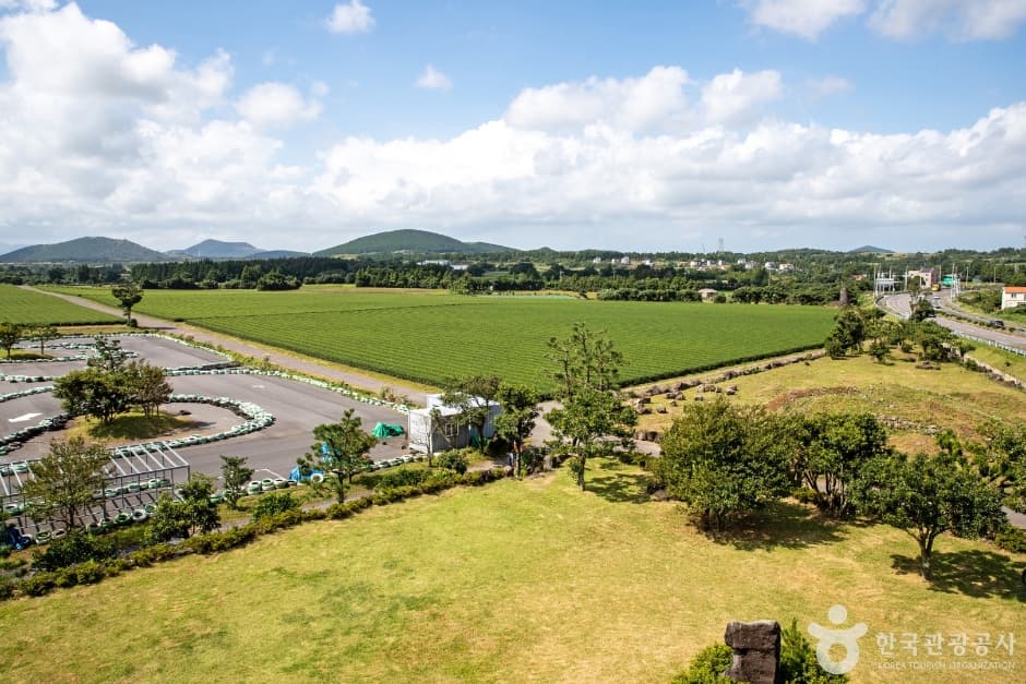 Seongeup Green Tea Village (성읍녹차마을)