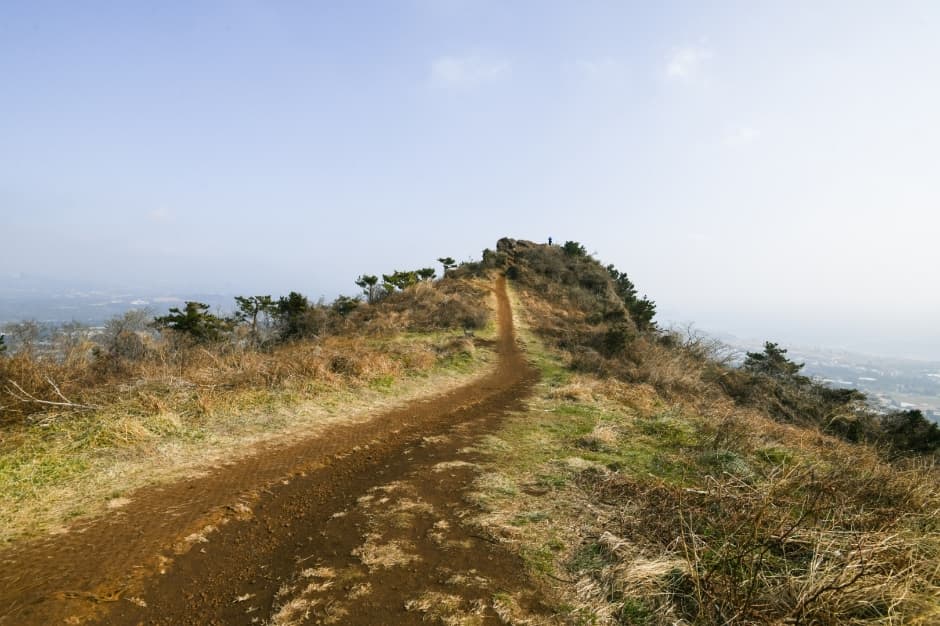 Gunsan Oreum Volcanic Cone (군산오름)