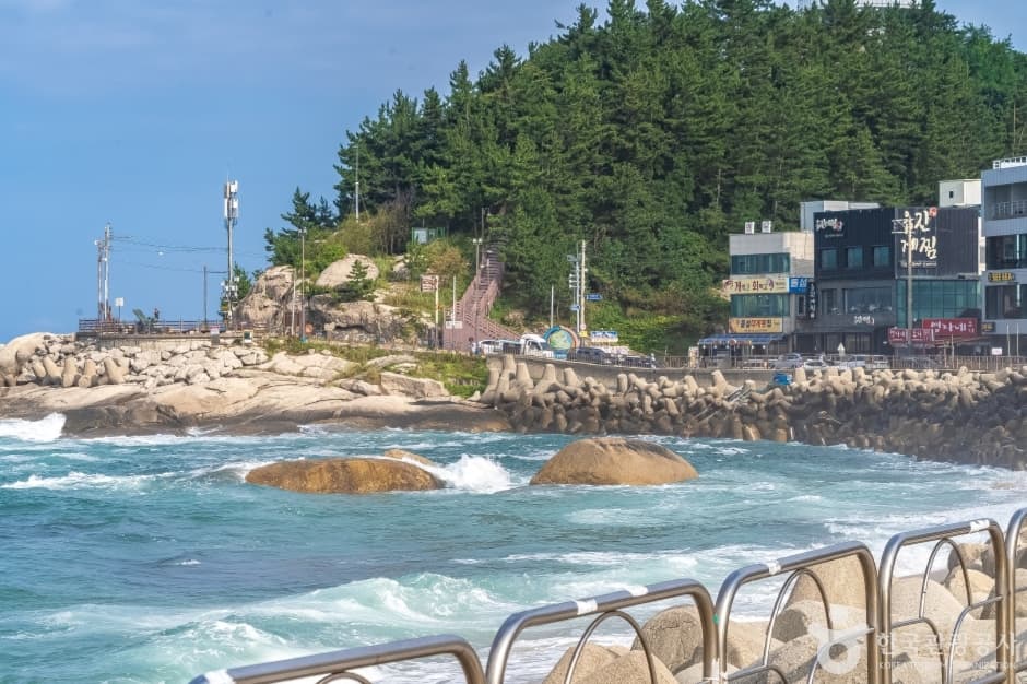 Dongmyeong Port Pojangmacha Alley (동명항 포장마차 거리)