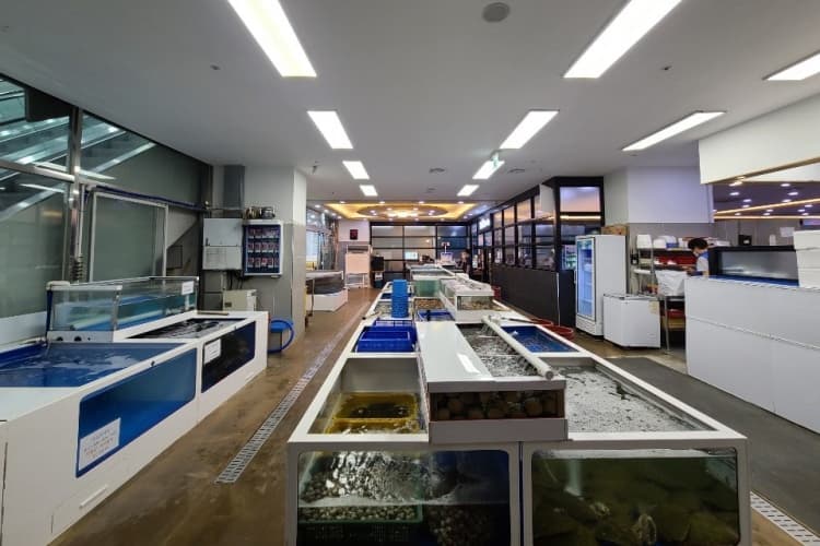 Jungbu Hoe Fish Market (중부회수산시장)