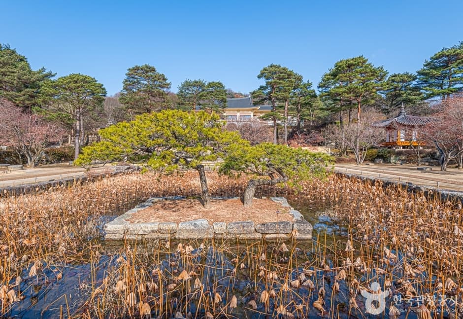 Hoam Museum of Art (호암미술관)