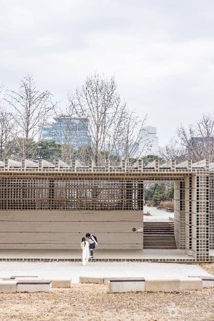 Seoul Forest (서울숲)
